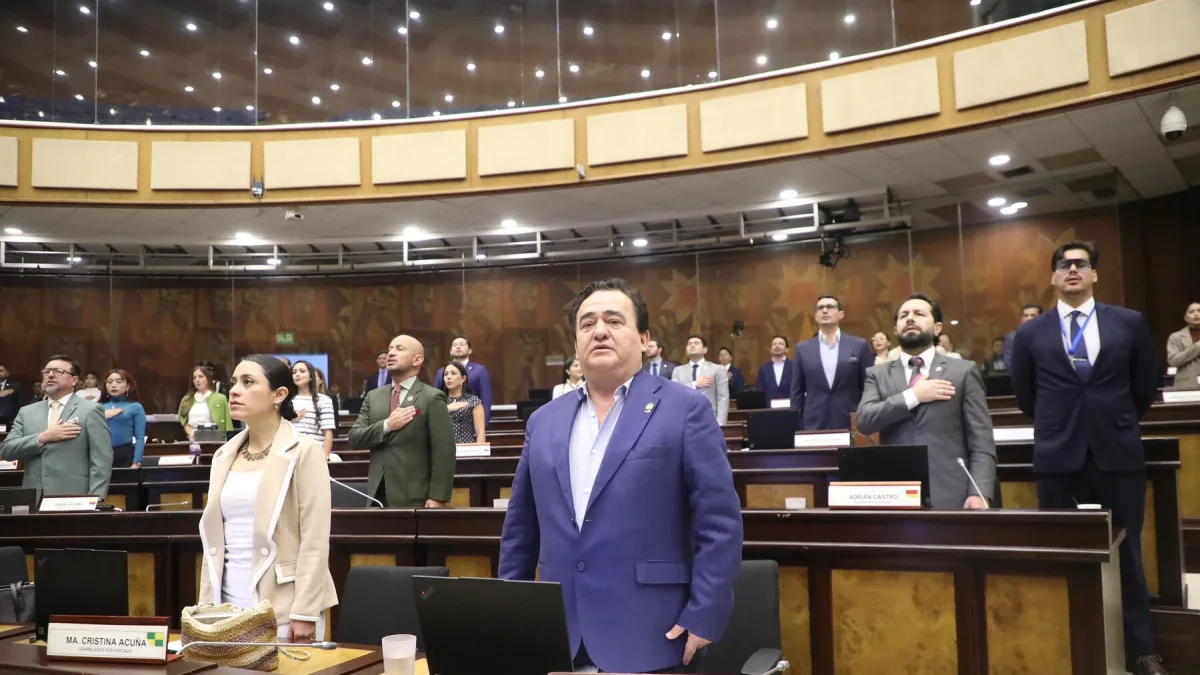 Correísmo quiso llevar al Pleno caso Apagón; ADN activó un m