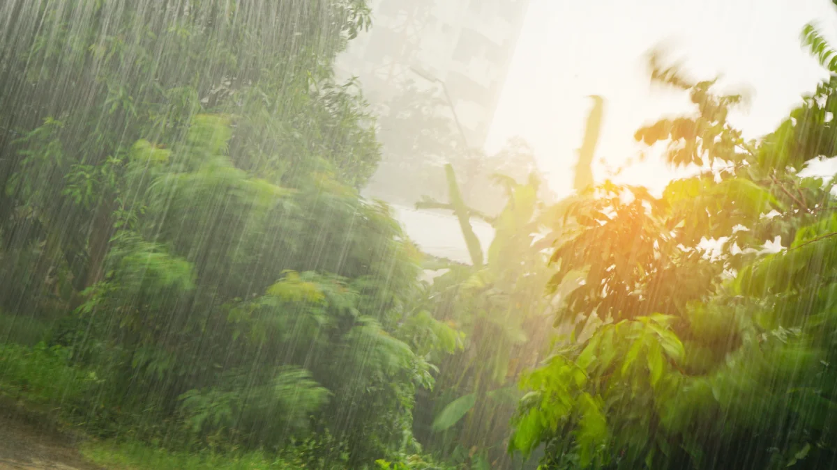 Referencial. La lluvia intensa cubre zonas de vegetación en Ecuador, mientras el pronóstico advierte precipitaciones este 12 de junio.
