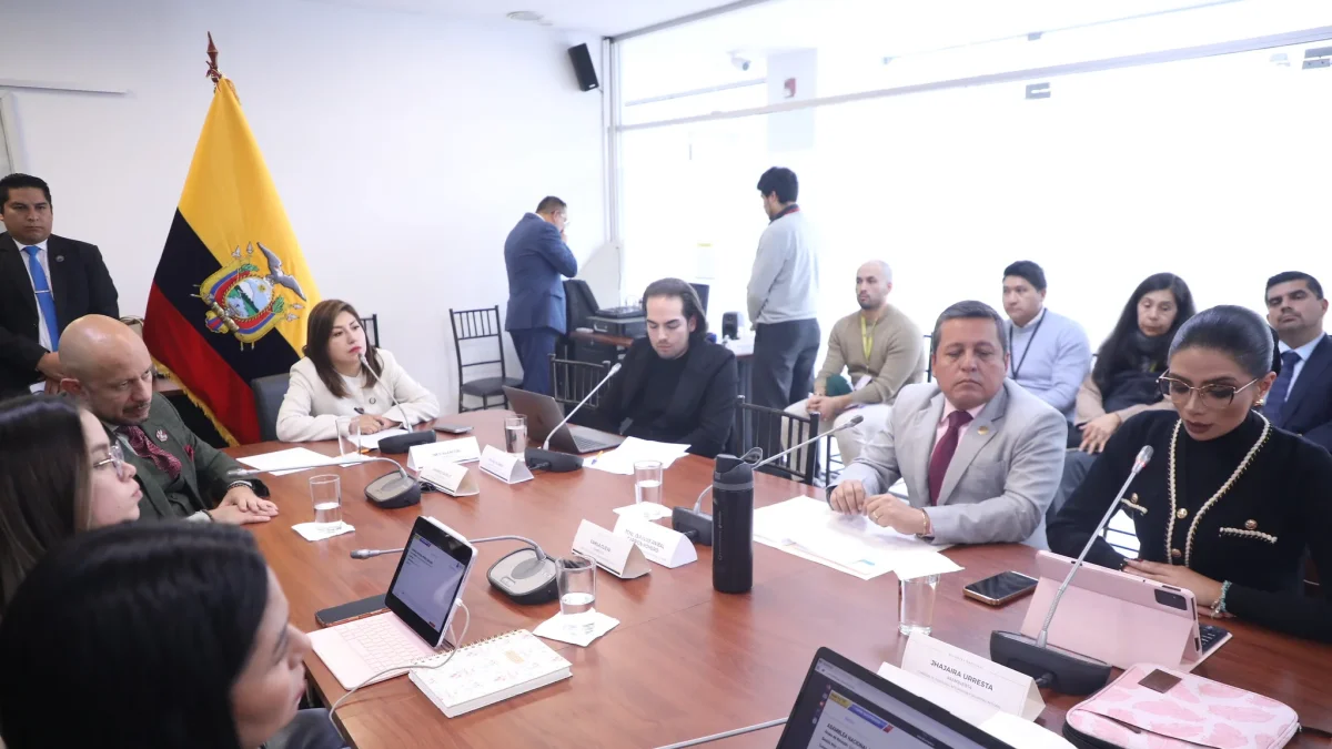Comisión de Seguridad de la Asamblea Nacional durante la sesión en la que recibió testimonios de policías afectados por las movilizaciones de 2025.