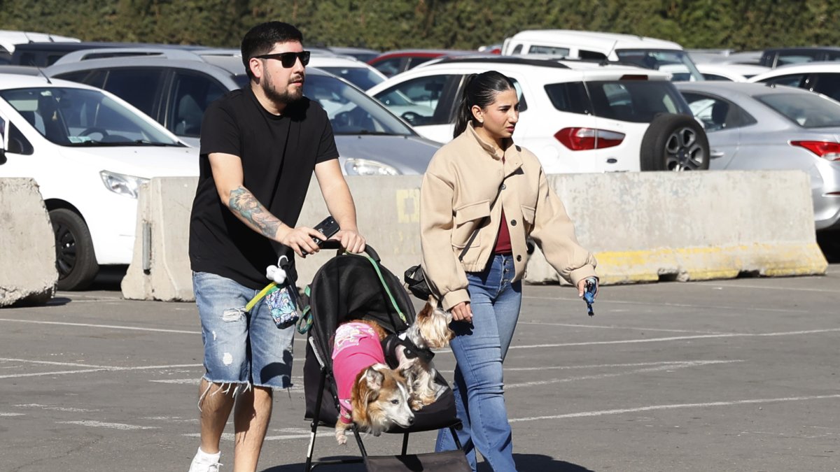 Una pareja al caminar con un par de perros, llevados en un choche de bebés, durante feria ‘Expo Mascotas & Animales’, en Santiago de Chile, una ciudad con baja tasa de natalidad.