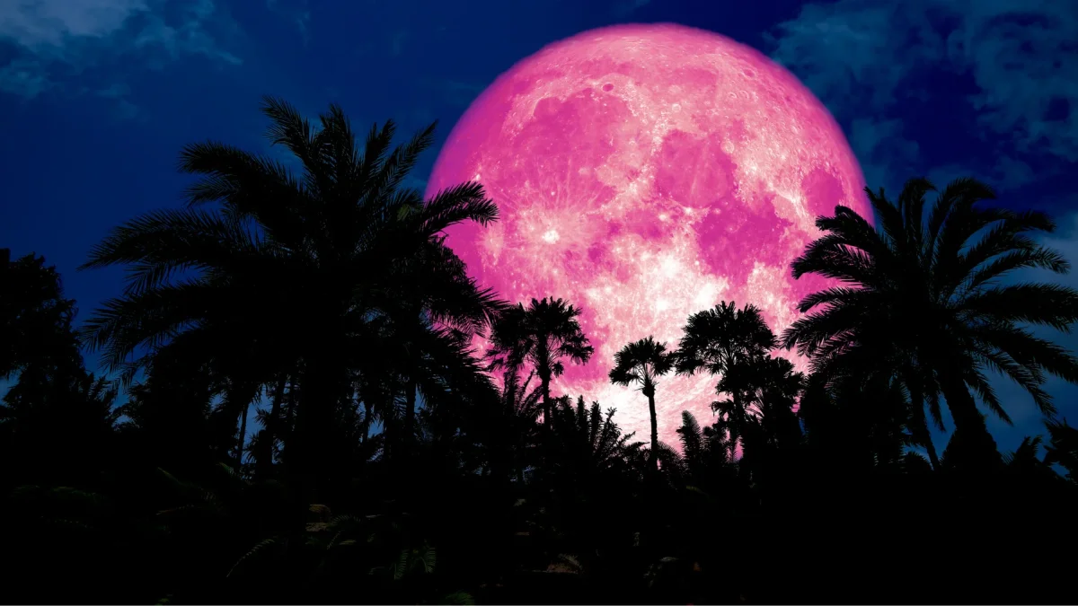 La Luna de Fresa y el solsticio de junio marcarán dos de los principales eventos astronómicos del mes, visibles desde Ecuador si las condiciones climáticas lo permiten.