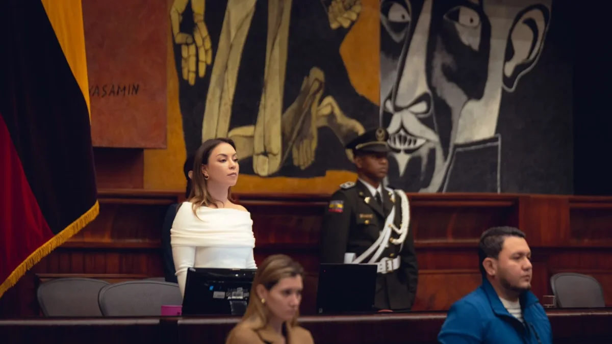 Mishel Mancheno presidió la sesión del CAL en la que se calificaron seis proyectos de ley para su trámite en comisiones legislativas.
