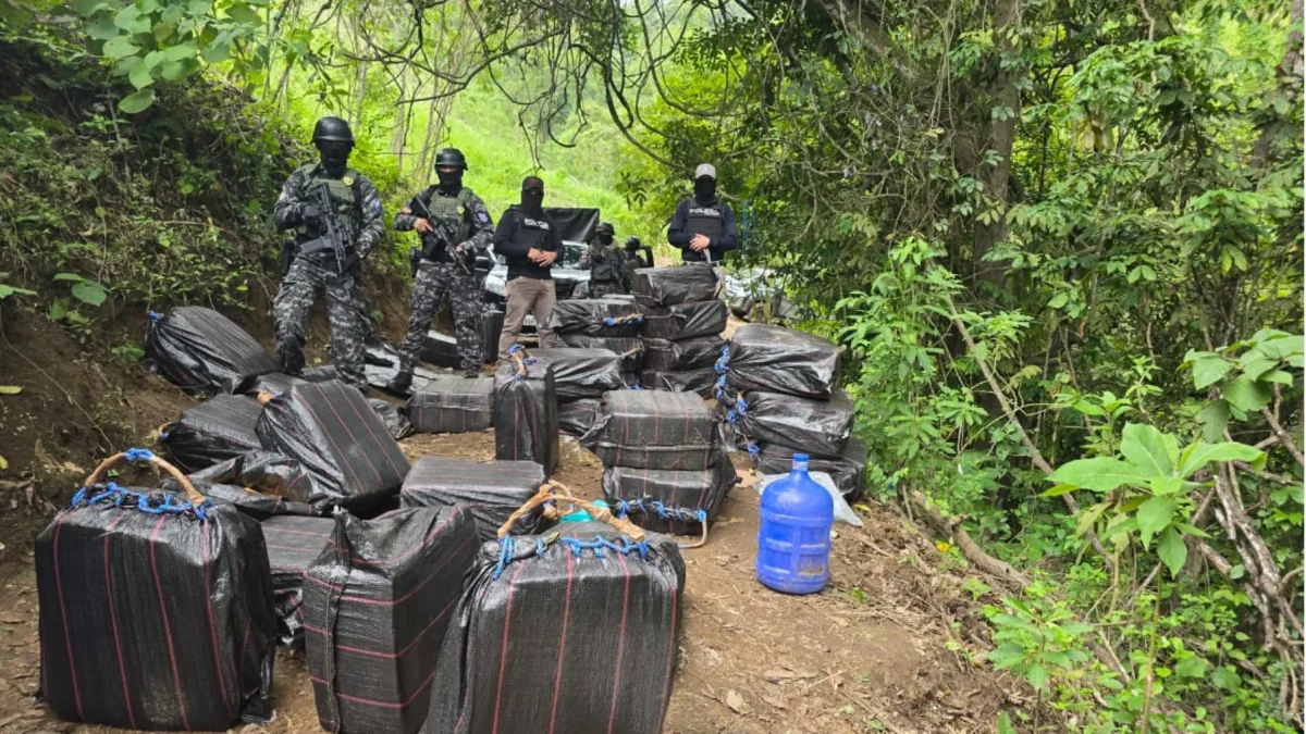 Lagentes localizaron un centro de acopio temporal donde se hallaron 50 bultos con cientos de paquetes rectangulares de cocaína.