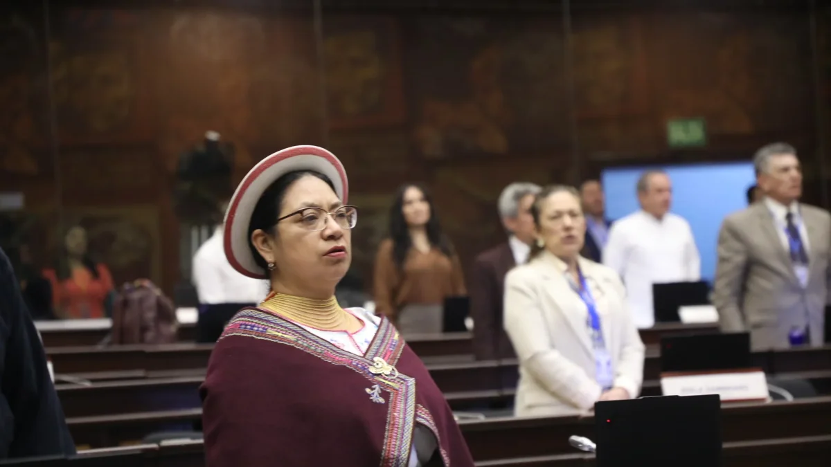 Mariana Yumbay cuestionó la aprobación del cambio del orden del día para iniciar una fiscalización sobre cámaras de seguridad en Guayaquil.