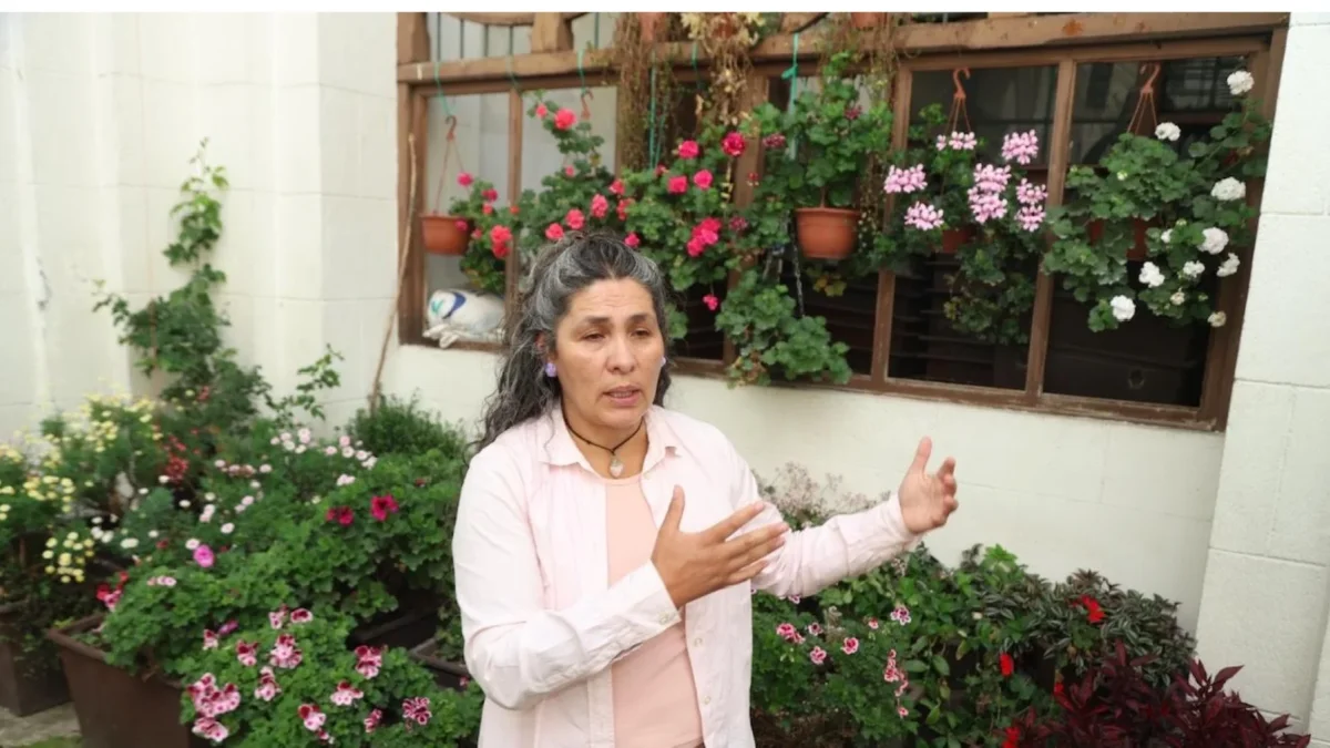Liz Pereira y cuatro personas más cuidan de más de 20.000 geranios, que colocaron como parte de la iniciativa De Vuelta Al Centro.