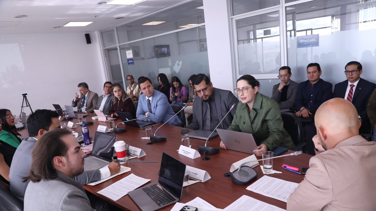 La Comisión de Seguridad está controlada por la mayoría oficialista de la Asamblea.