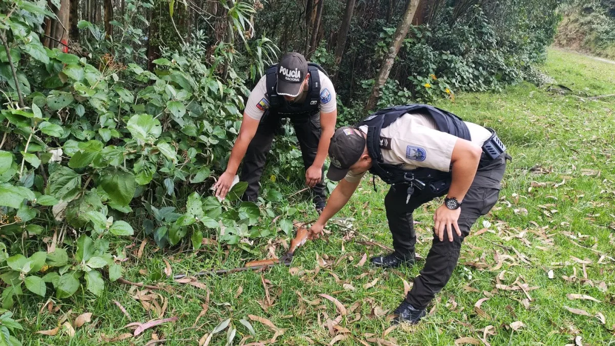 En el sector de Argelia, sur de Quito, policías del Distrito Eloy Alfaro localizaron una arma de fuego, que fue levantada con cadena de custodia y trasladada a la Policía Judicial.