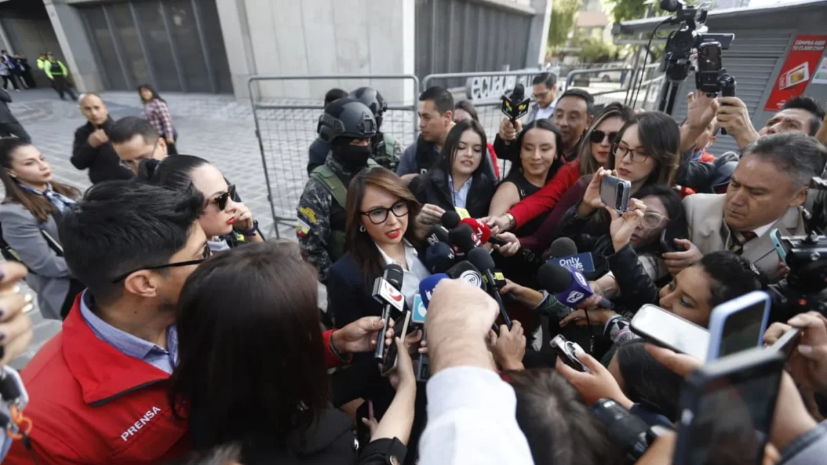 La ministra de Gobierno Nataly Morillo habló de tres posibles delitos.