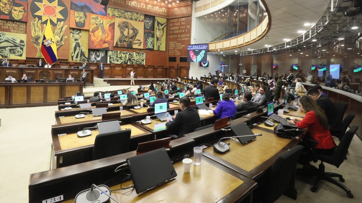 Los asambleístas votaron a favor de cambiar el orden del día para que el Pleno analice el supuesto incremento de alcaldes y prefectos del Ecuador.