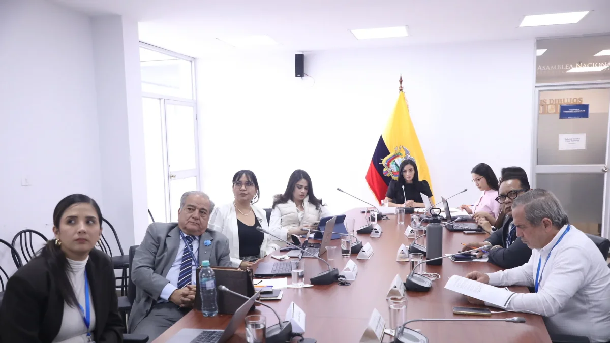 La Comisión de la Niñez continuó la fiscalización de denuncias de acoso escolar y violencia en instituciones educativas.