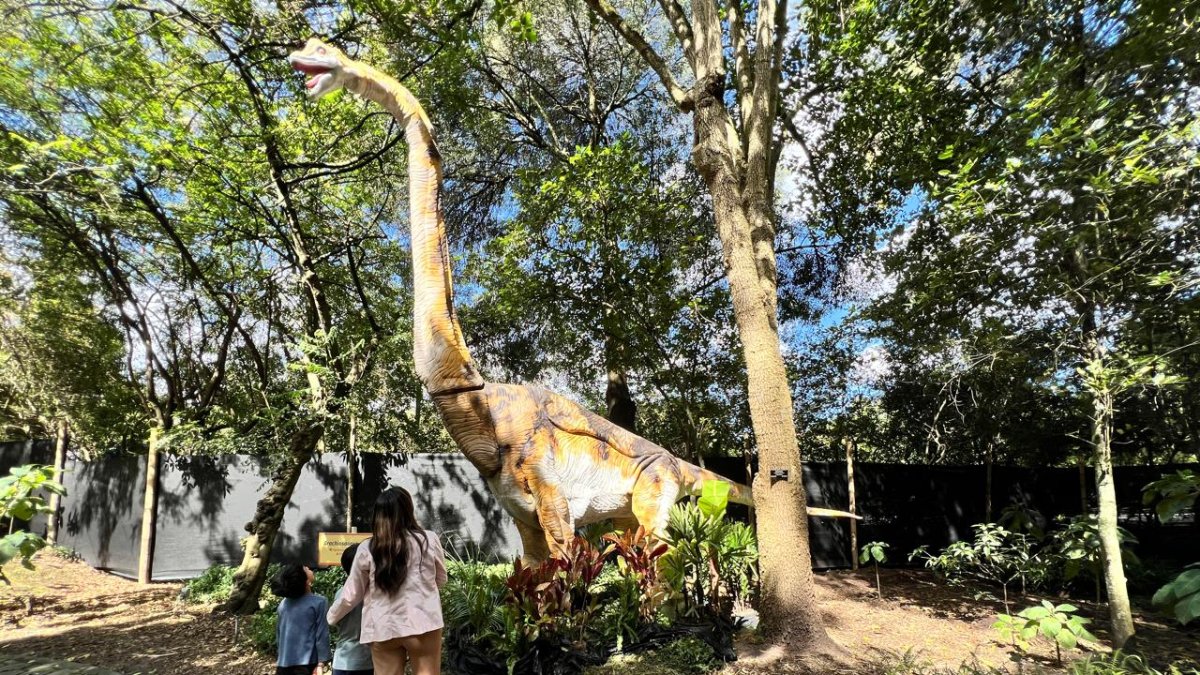 Dinosaurios gigantes con efectos de sonido y movimiento son la gran atracción del Jardín Jurásico en Quito.