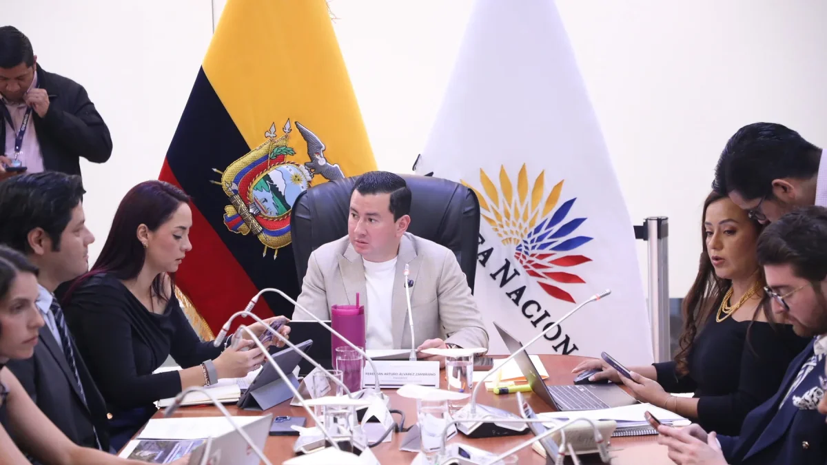 La Comisión de Fiscalización está integrada por cinco asambleístas de ADN y uno de sus aliados.