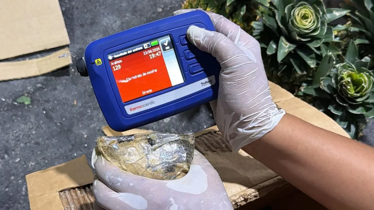 Una persona inspeccionando mercancía durante un operativo en el que decomisaron 30 kilos de presunta cocaína ocultos en piñas en Santo Domingo (República Dominicana).