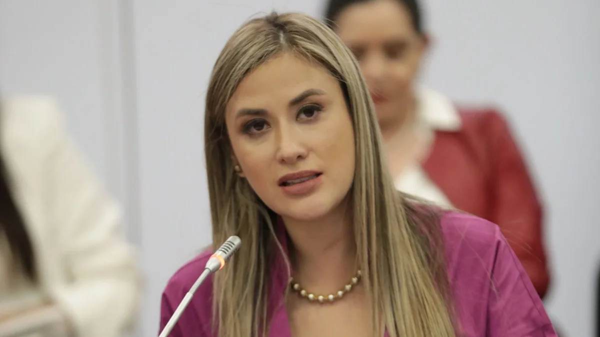 Nicole Bonifaz fue electa consejera del CPCCS en 2023 como la tercera candidata más votada de la lista de mujeres.