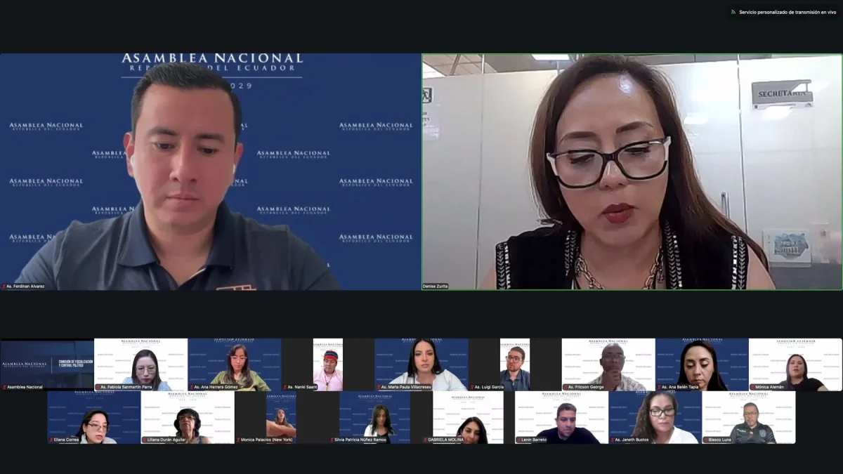 La sesión de la Comisión de Fiscalización se llevó adelante de manera virtual este 26 de junio de 2026.