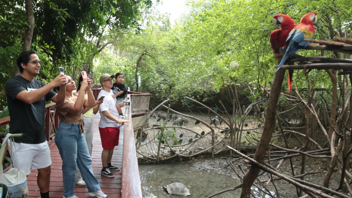 El Parque Histórico queda en Samborondón. Ofrece una mirada a especies endémicas que han sido rescatadas.