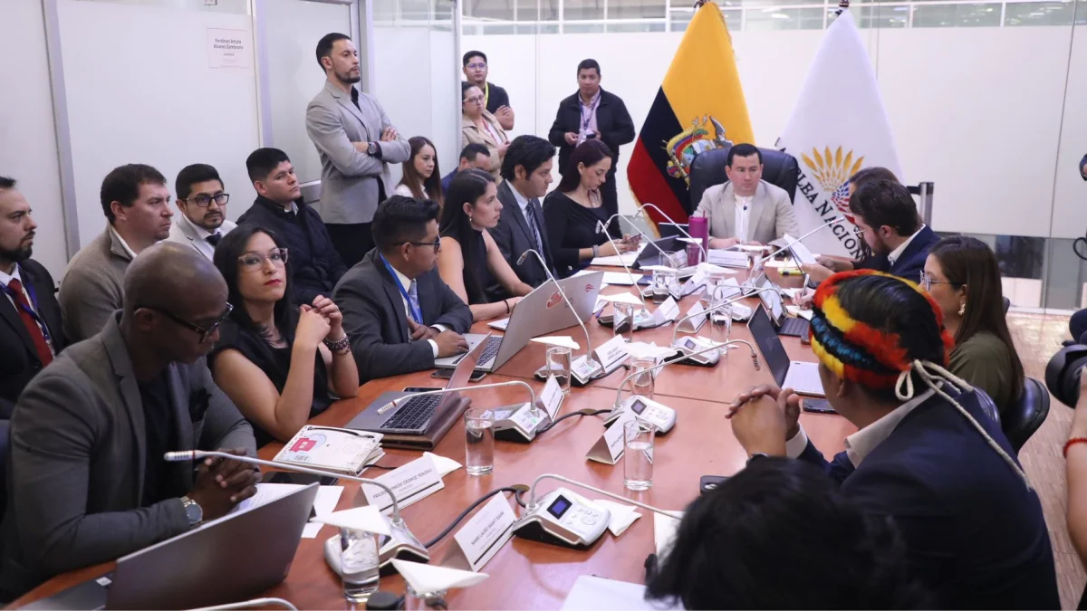 El excorreísta Ferdinan Álvarez preside la Comisión de Fiscalización.