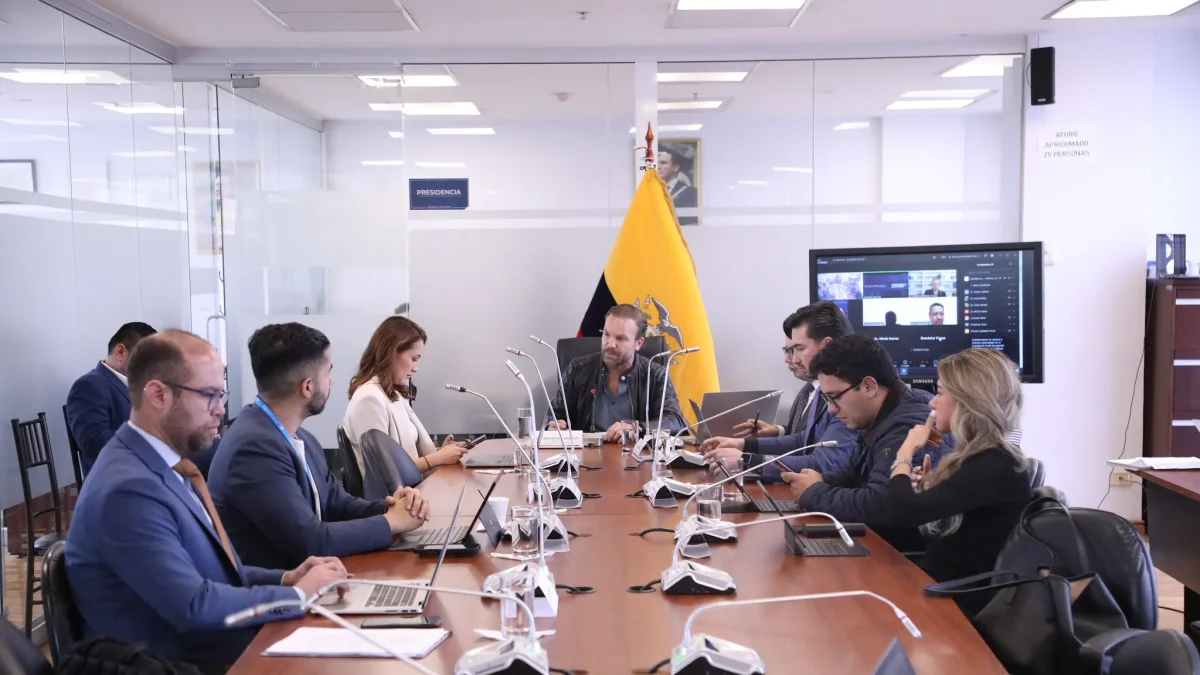 Especialistas nacionales e internacionales comparecieron ante la Comisión de Salud para presentar observaciones al proyecto de Ley Orgánica de Eutanasia.