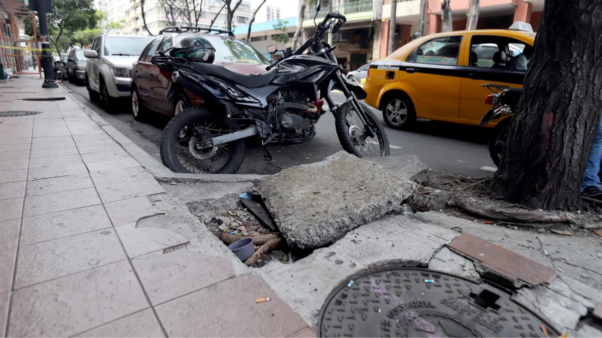 Pedido. La recuperación del centro de Guayaquil es vista como una condición indispensable para reactivar la economía, el turismo y la vida urbana.