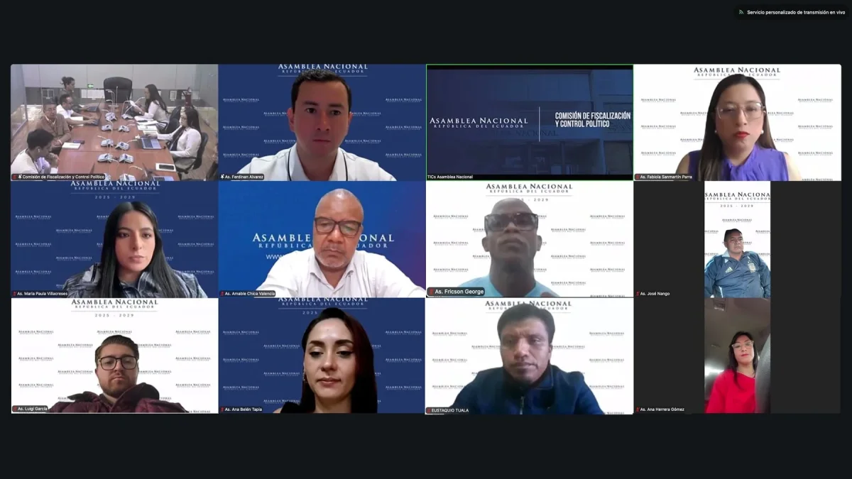 La sesión de la Comisión de Fiscalización se hizo de manera virtual la tarde de este 2 de julio de 2026.