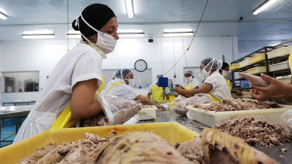 La industria atunera alerta por pérdida de competitividad.