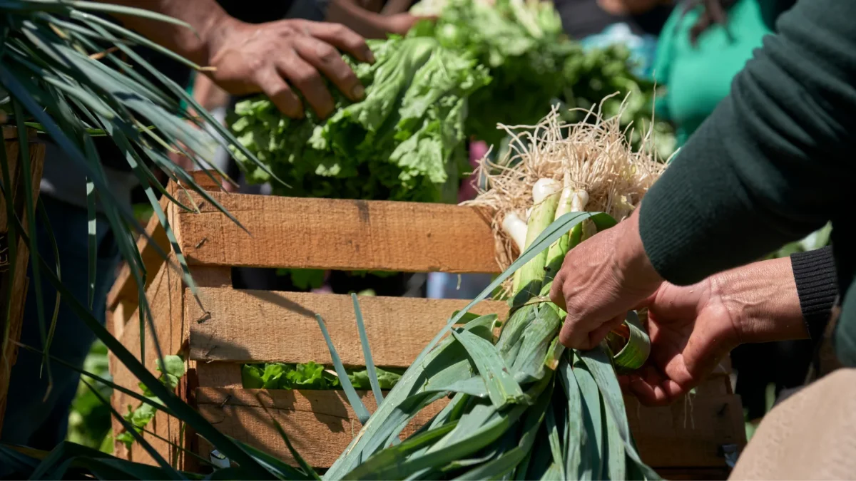 Dedicó su vida a la investigación, la docencia y el impulso de la agricultura orgánica en Ecuador