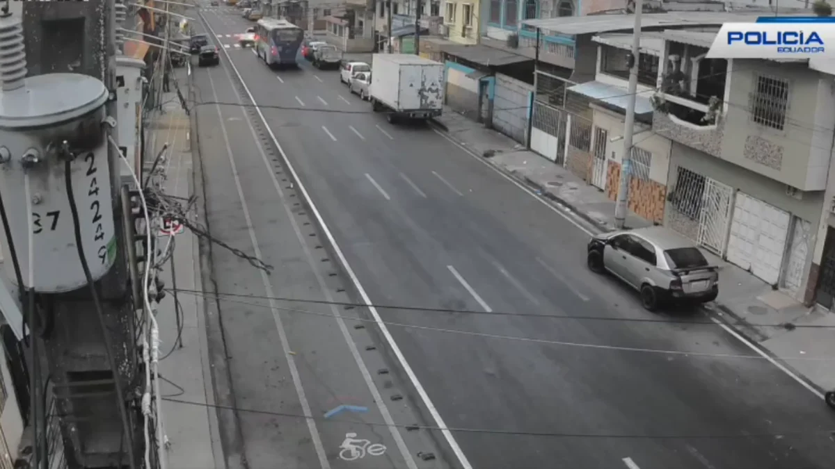 Las cámaras de Segura EP captaron el accionar policial.