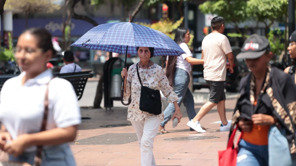 Utilizar paraguas y otros elementos para reducir el impacto de la luz solar están entre las recomendaciones.