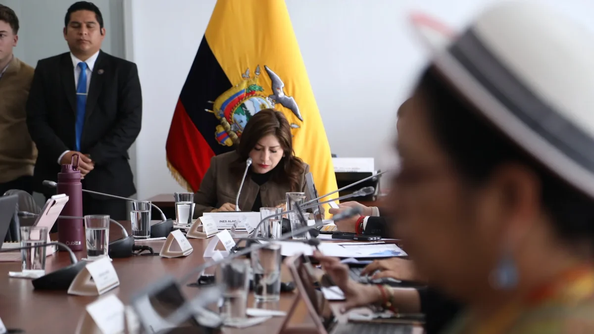 Inés Alarcón preside la Comisión de Seguridad de la Asamblea Nacional.