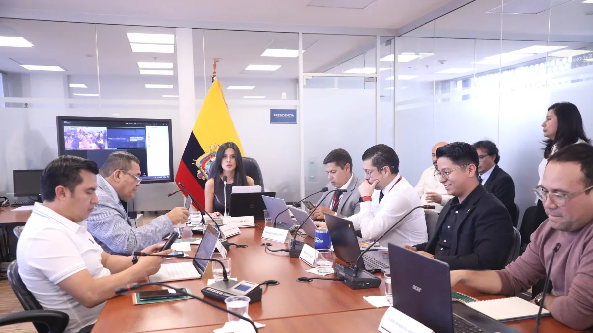 Comisión de Transparencia analizó propuestas para reforzar el proyecto de ley contra la pornografía infantil.