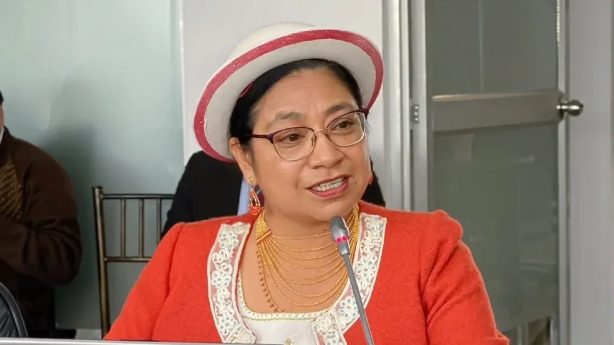 Mariana Yumbay habla despues de la sesión de la Comisión de Educación