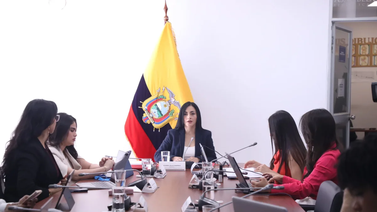 Representantes de UNICEF y un experto en justicia juvenil expusieron observaciones al proyecto que reforma el régimen de adolescentes infractores.