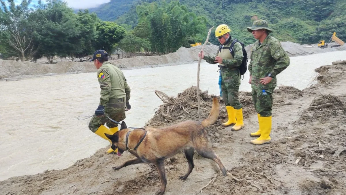 Uniformados de las Fuerzas Armadas continúan con la búsqueda de personas extraviadas una semana después del deslave en Zamora Chinchipe.