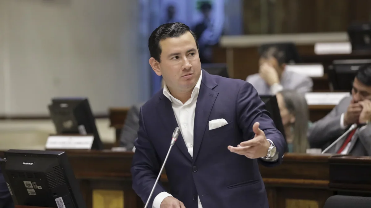 Ferdinand Álvarez explicó cómo avanzará el juicio político contra la exministra Inés Manzano en la Comisión de Fiscalización.