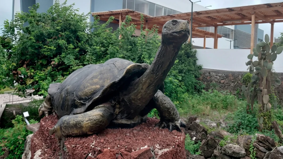 La Universidad Central del Ecuador en Galápagos fue evaluada por la Comisión de Educación junto a autoridades universitarias y del CES.