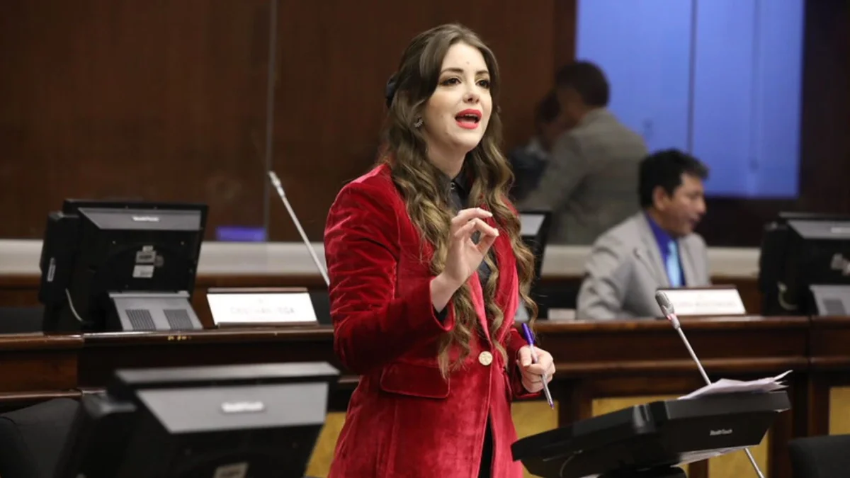 Mónica Palacios sustentó la acusación contra Inés Manzano durante el inicio del juicio político en la Comisión de Fiscalización.