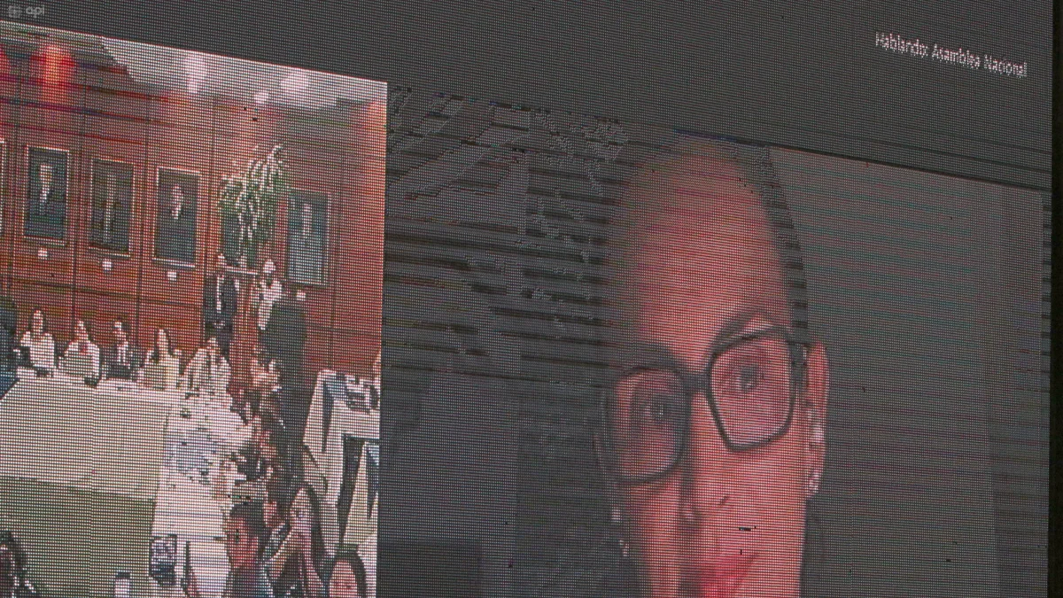 Inés Manzano participó por videoconferencia en la sesión de la Comisión de Fiscalización durante su juicio político.