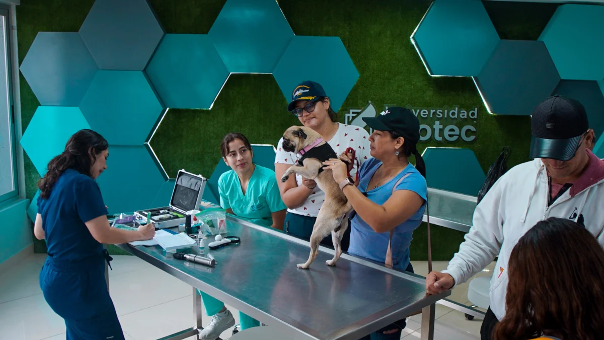 Servicios veterinarios gratuitos se ofreceran en el campus de vía a la costa de la Ecotec