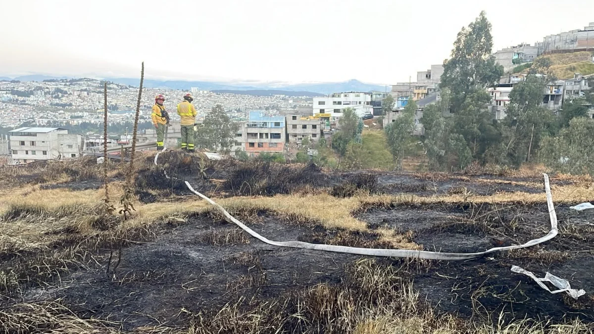 Una de las emergencia ocurrió en la Jaime Roldós, en el norte. Allí ocurrió un incendio forestal.