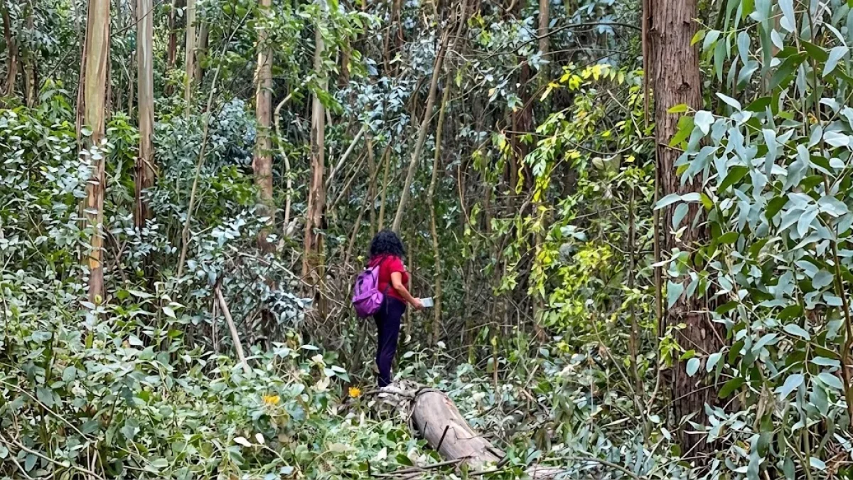 Maytté Gavilanes camina en la zona talada, el martes 14 de julio del 2026, en El Bosque.