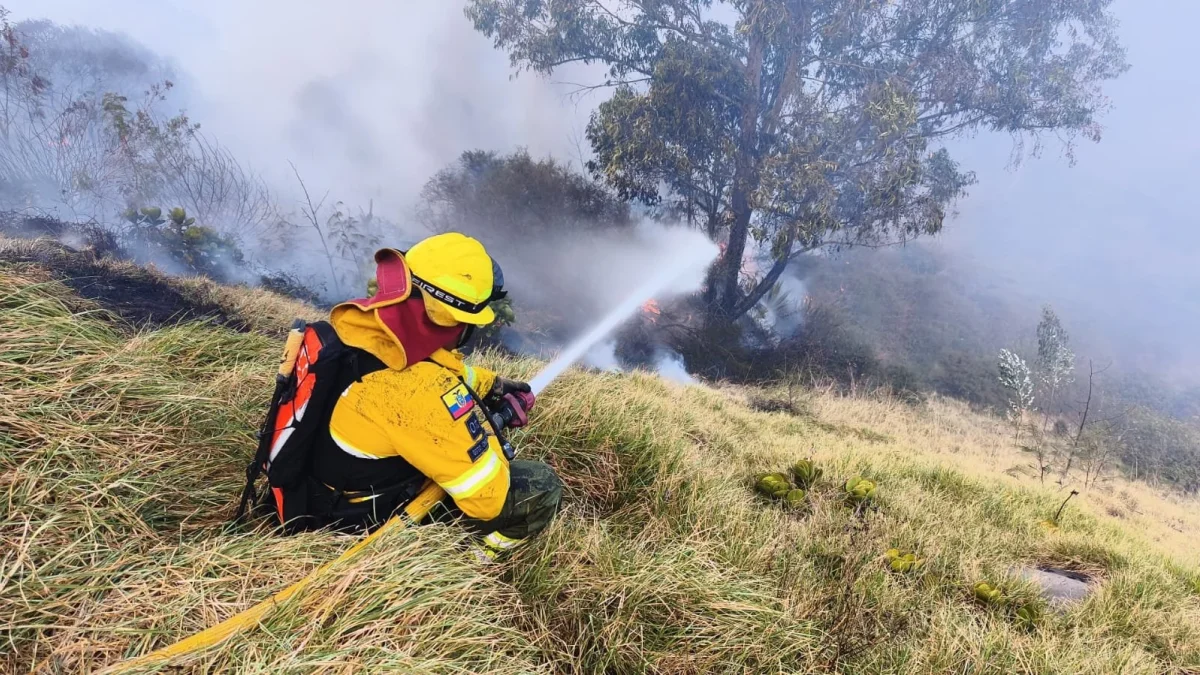 Bomberos de Quito controlaron un incendio forestal registrado en el sector Jaime Roldós, donde se desplegó un operativo para evitar la propagación del fuego.