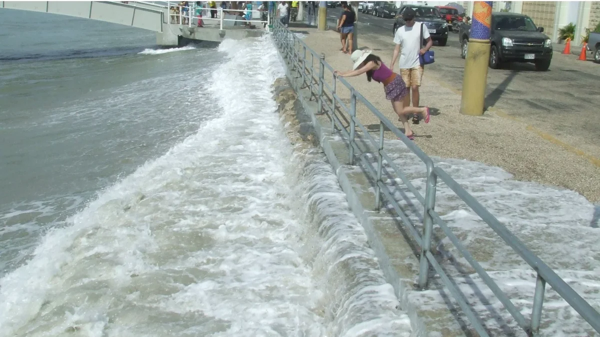 Ecuador activó observación por tsunami tras el sismo de 7,3 registrado este 17 de julio en México.