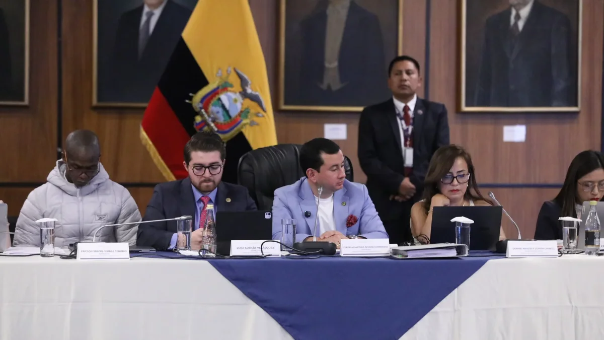 Ferdinan Álvarez preside la Comisión e Fiscalización en donde se tramita el juicio contra la exministra de Energía Inés Manzano.