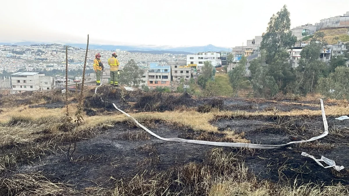 El 14 de julio ocurrió un incendio forestal en el sector Jaime Roldós, en el norte de Quito.