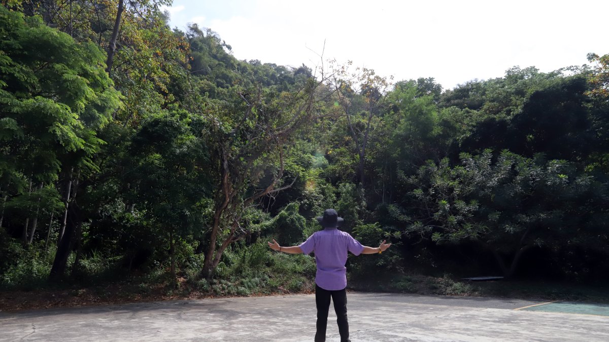 Paisaje. Los amantes de la naturaleza pueden disfrutar de varios bosques protectores ubicados en Guayaquil. Para muchos, estos son paraísos escondidos entre el cemento.