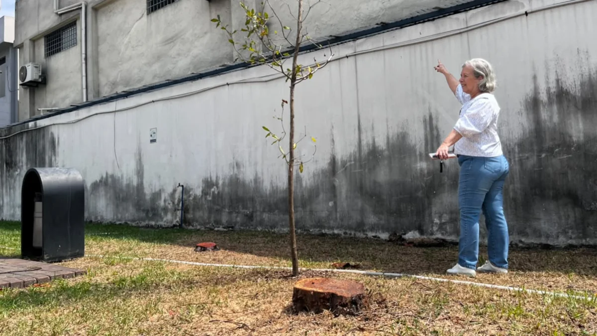 Tala de árboles en la ciudadela Entre Ríos