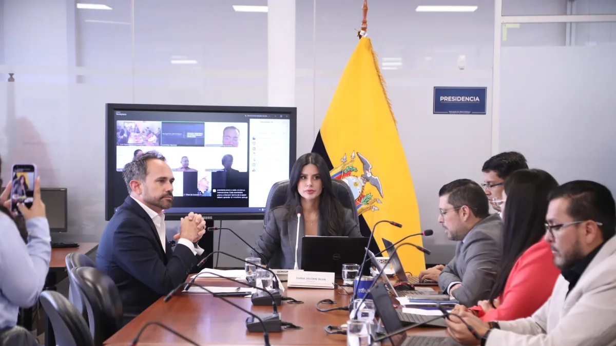 La Comisión de Transparencia recibió a un experto internacional para fortalecer la ley contra el reclutamiento de menores.