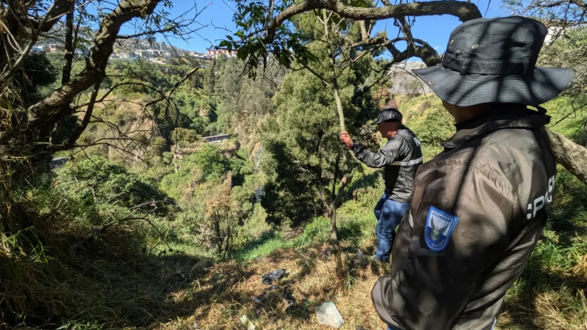 Búsqueda de Lizeth Bunshi en Quito.