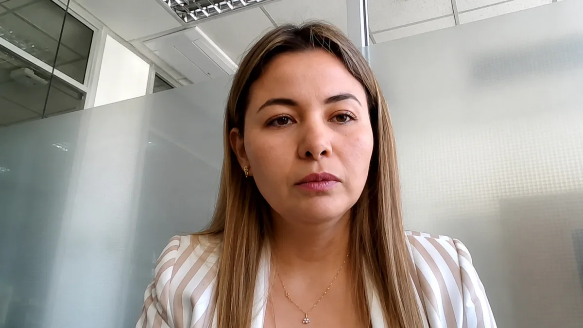 Vanessa Estefanía Villavicencio expuso ante la Comisión de Transparencia las observaciones del Ministerio de Salud al proyecto de ley.