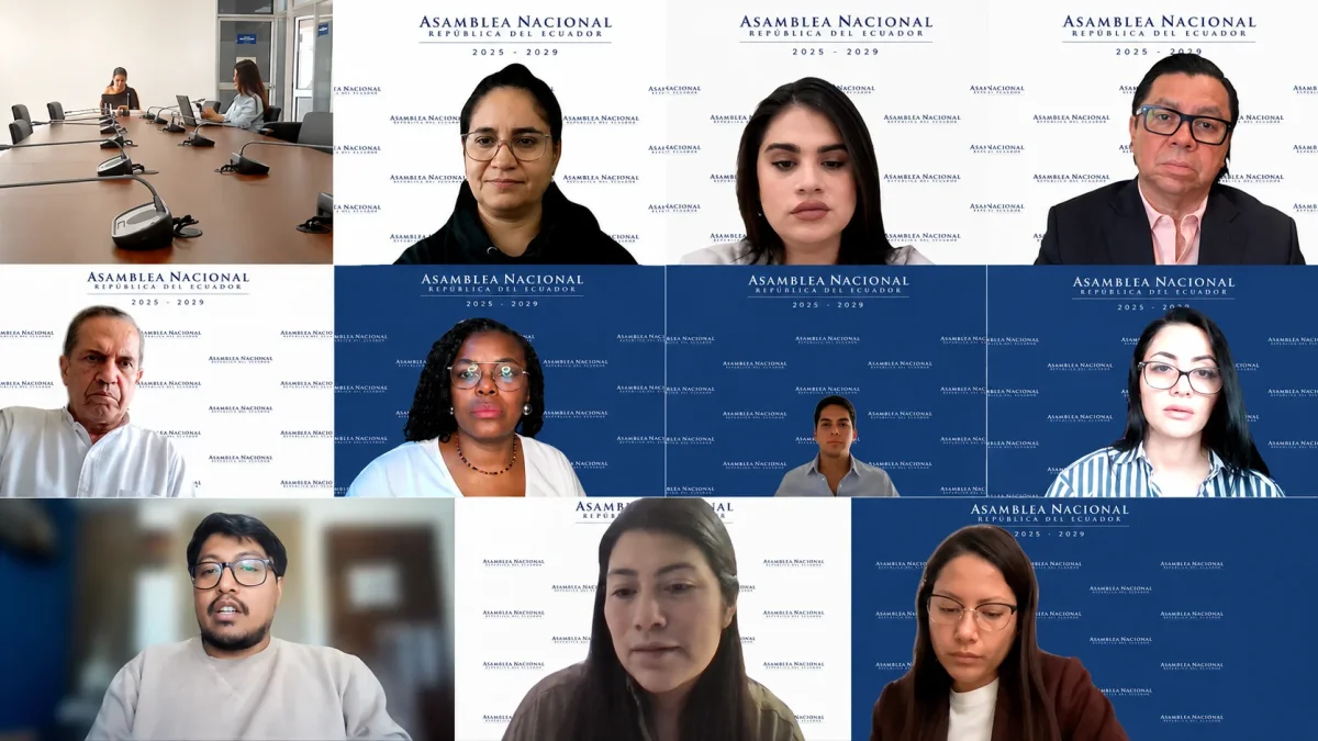 La Comisión de la Niñez analiza reformas legales para adolescentes infractores en modalidad virtual.
